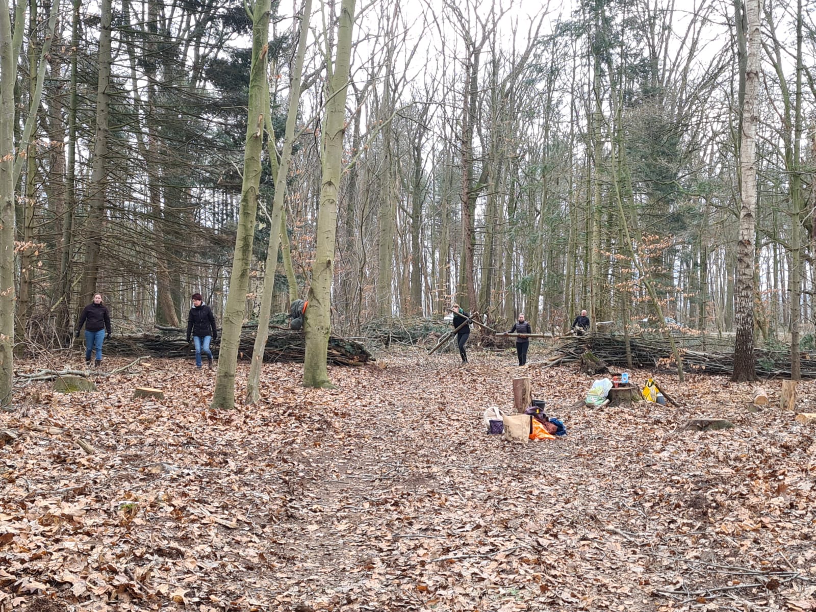 Werkzaamheden Speelbos