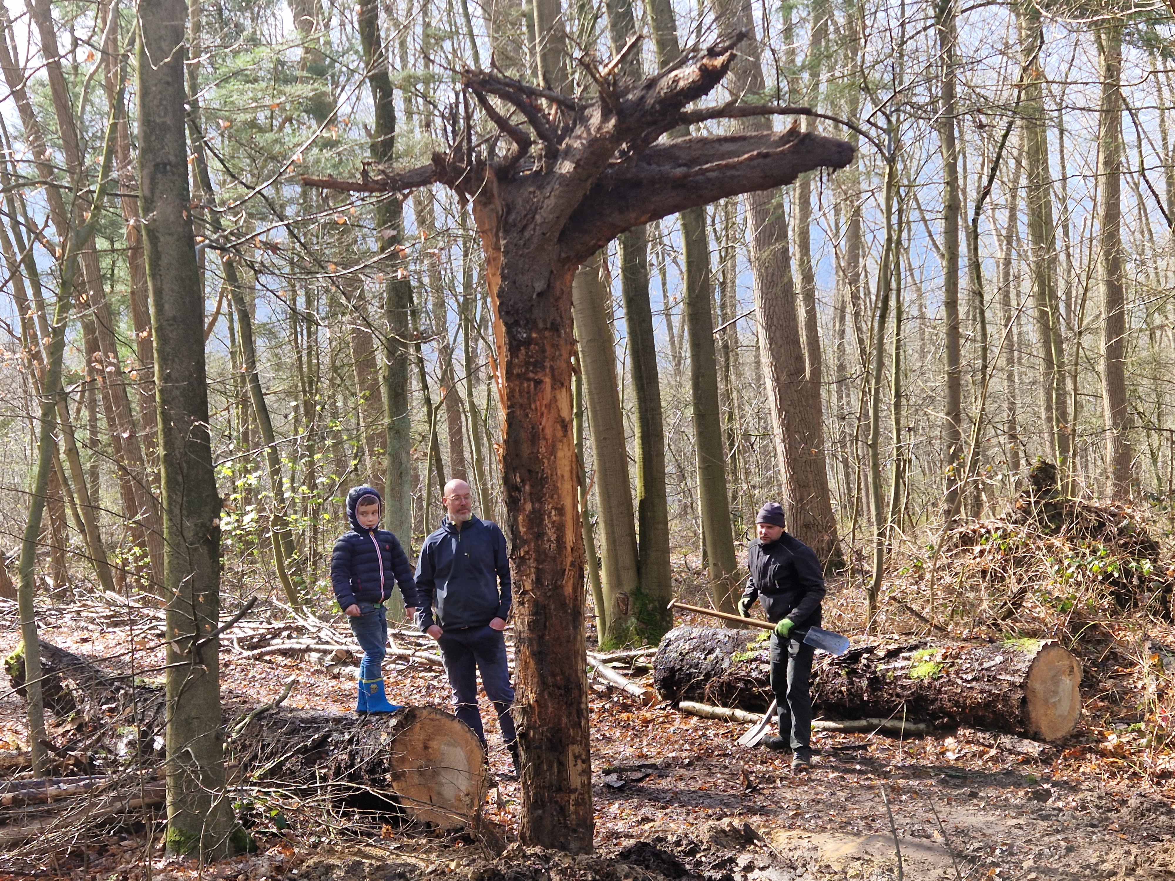 Speelbos toegang